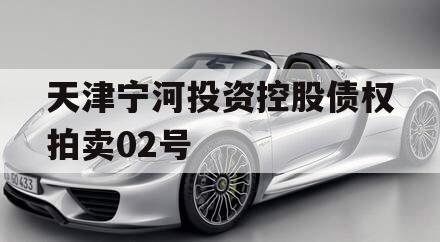 天津宁河投资控股债权拍卖02号