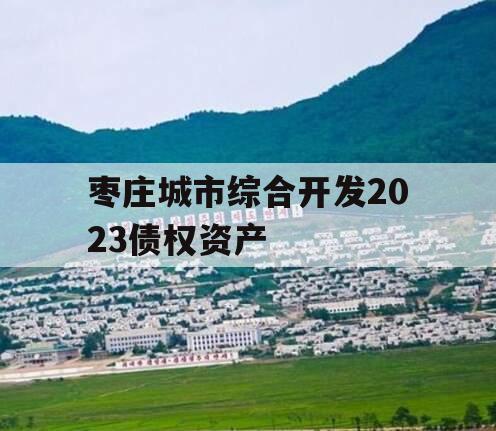 枣庄城市综合开发2023债权资产