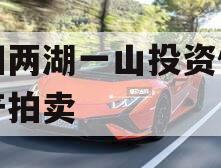 简阳两湖一山投资债权资产拍卖