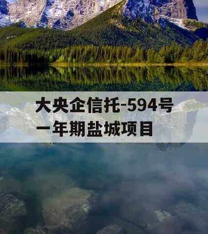 大央企信托-594号一年期盐城项目