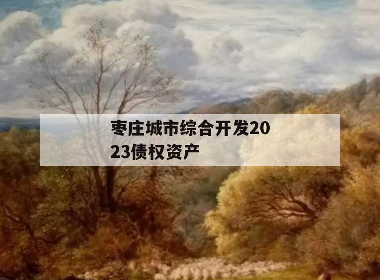 枣庄城市综合开发2023债权资产