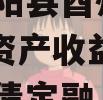 重庆酉阳县酉州实业2023年资产收益权转让政府债定融