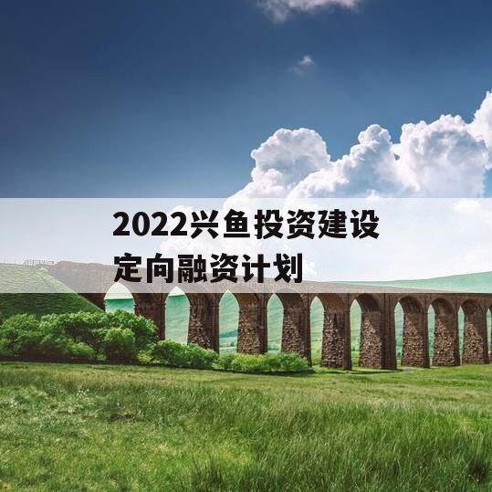 2022兴鱼投资建设定向融资计划