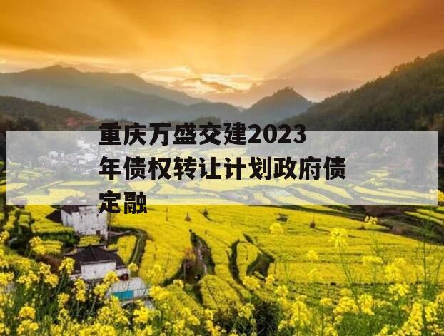 重庆万盛交建2023年债权转让计划政府债定融