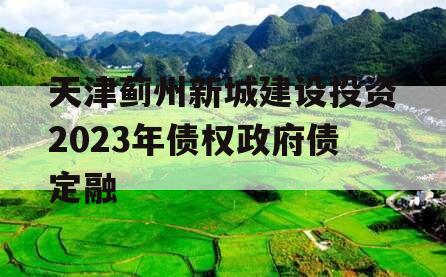 天津蓟州新城建设投资2023年债权政府债定融