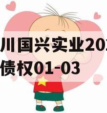四川国兴实业2023年债权01-03