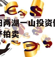 简阳两湖一山投资债权资产拍卖