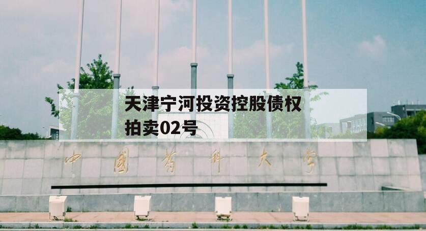 天津宁河投资控股债权拍卖02号