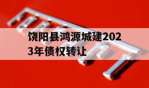 饶阳县鸿源城建2023年债权转让