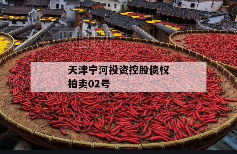 天津宁河投资控股债权拍卖02号