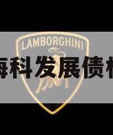 海科发展债权