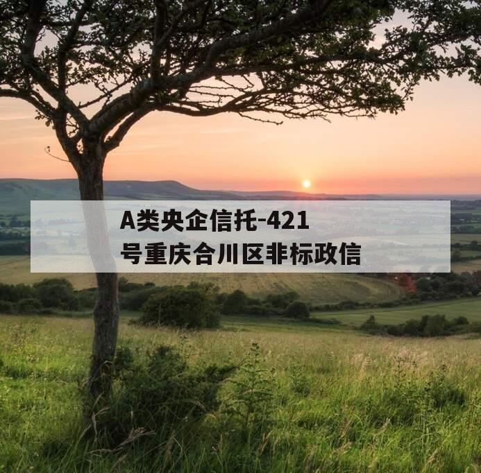 A类央企信托-421号重庆合川区非标政信