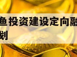 兴鱼投资建设定向融资计划