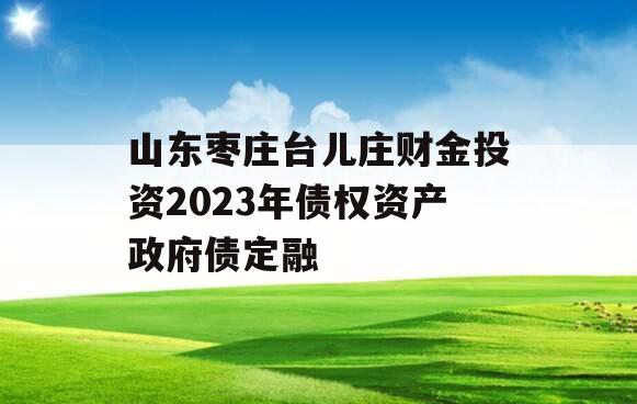 山东枣庄台儿庄财金投资2023年债权资产政府债定融