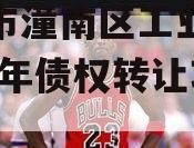 重庆市潼南区工业投资2023年债权转让项目