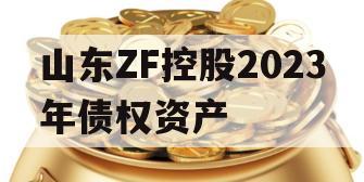 山东ZF控股2023年债权资产