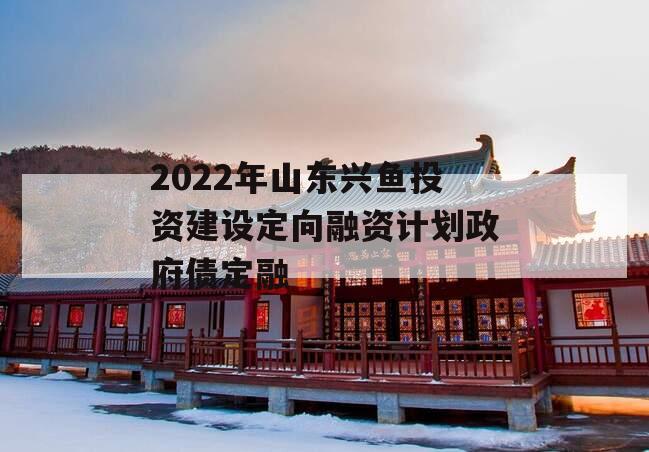 2022年山东兴鱼投资建设定向融资计划政府债定融