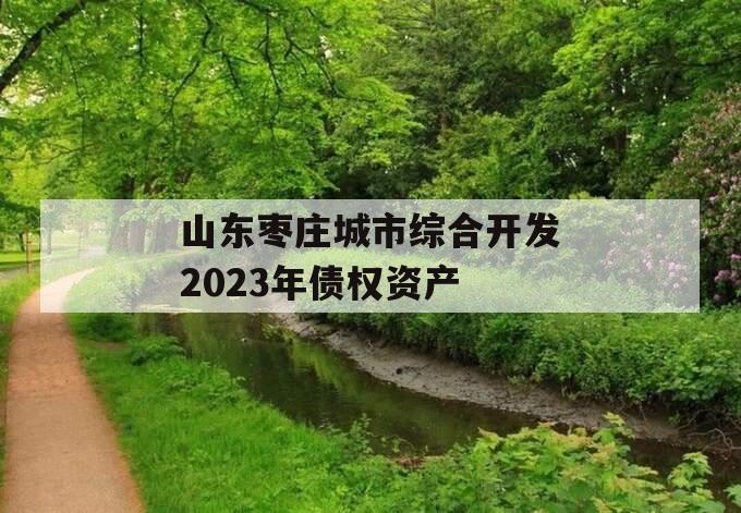 山东枣庄城市综合开发2023年债权资产