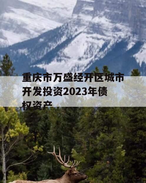 重庆市万盛经开区城市开发投资2023年债权资产