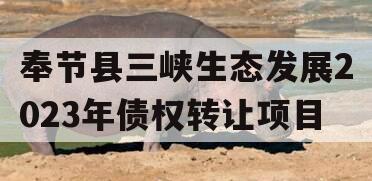 奉节县三峡生态发展2023年债权转让项目
