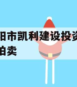 资阳市凯利建设投资债权拍卖