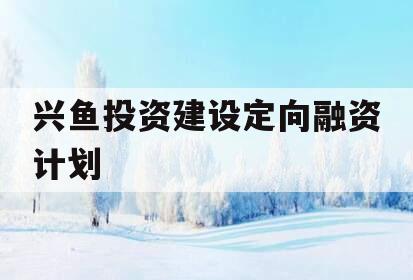 兴鱼投资建设定向融资计划