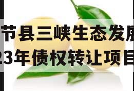 奉节县三峡生态发展2023年债权转让项目