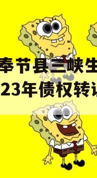 重庆奉节县三峡生态发展2023年债权转让项目