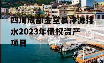 四川成都金堂县净源排水2023年债权资产项目