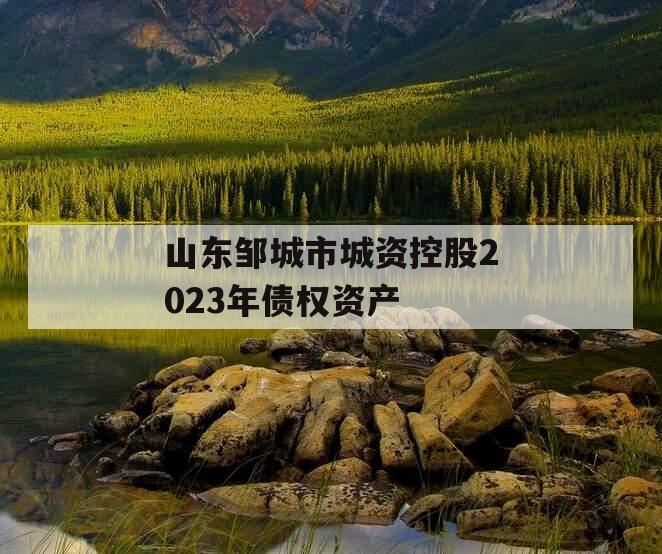 山东邹城市城资控股2023年债权资产