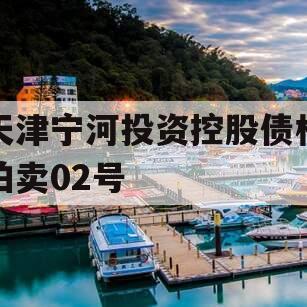天津宁河投资控股债权拍卖02号
