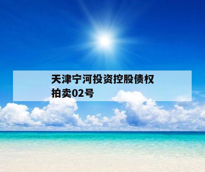 天津宁河投资控股债权拍卖02号