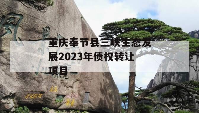 重庆奉节县三峡生态发展2023年债权转让项目