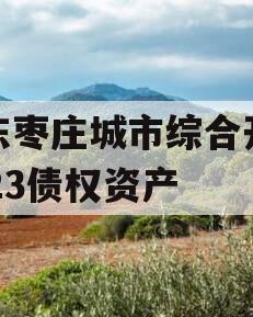 山东枣庄城市综合开发2023债权资产