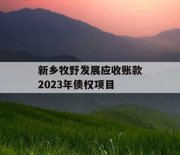 新乡牧野发展应收账款2023年债权项目