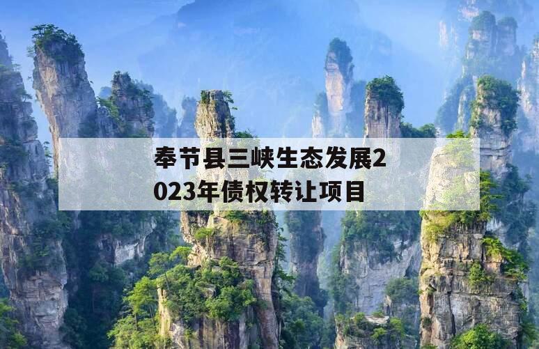 奉节县三峡生态发展2023年债权转让项目