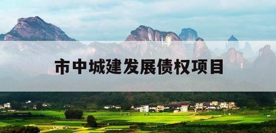 市中城建发展债权项目