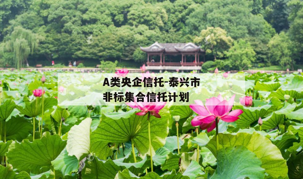 A类央企信托-泰兴市非标集合信托计划