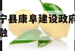 阜宁县康阜建设政府债定融