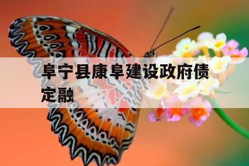 阜宁县康阜建设政府债定融
