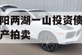 简阳两湖一山投资债权资产拍卖