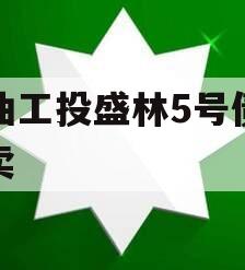 江油工投盛林5号债权拍卖