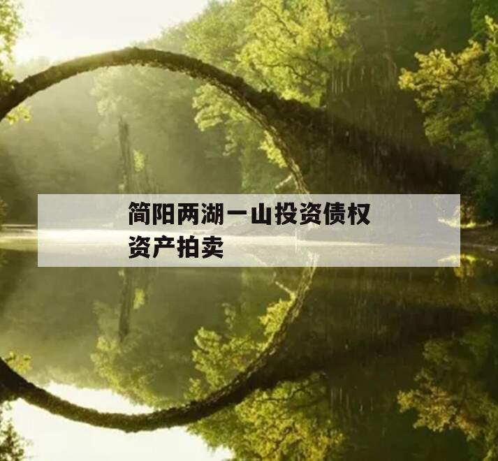 简阳两湖一山投资债权资产拍卖
