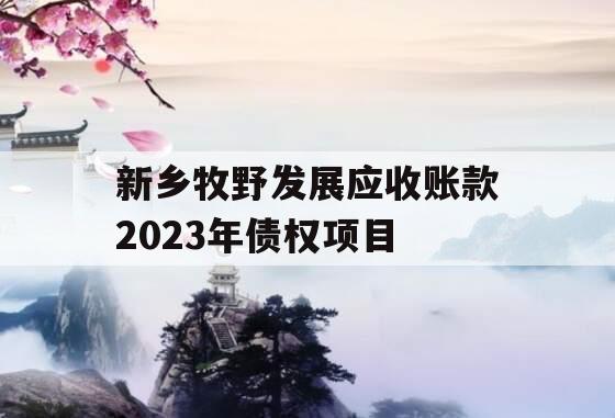 新乡牧野发展应收账款2023年债权项目