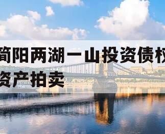 简阳两湖一山投资债权资产拍卖