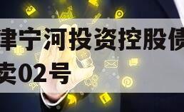 天津宁河投资控股债权拍卖02号