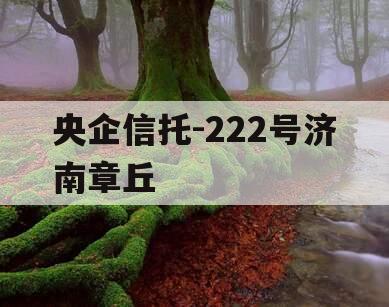 央企信托-222号济南章丘
