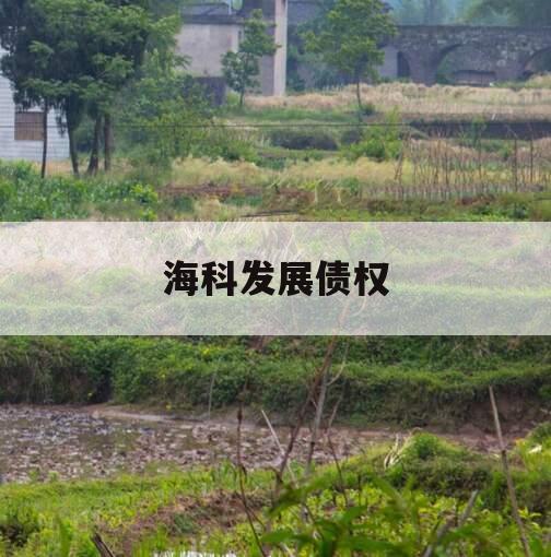 海科发展债权
