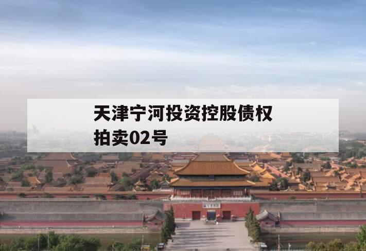 天津宁河投资控股债权拍卖02号