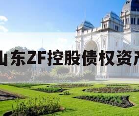 山东ZF控股债权资产